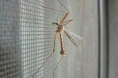 Москитные сетки на окна и двери